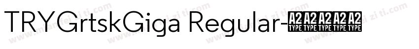 TRYGrtskGiga Regular字体转换